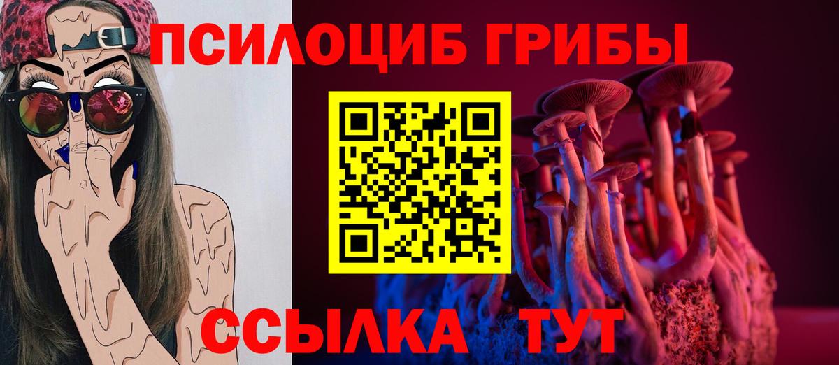 Петровск  Галлюциногенные грибы Psilocybine cubensis  Вход с VPN  Псилоцибиновые грибы мицелий 